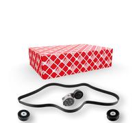 FEBI BILSTEIN 31624 Juego de correas trapeciales poli V