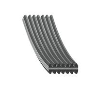 Febi-Bilstein 34463 Correa trapecial poli V