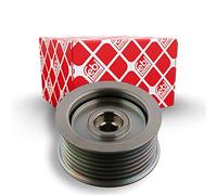 Ferdinand Bilstein Polea de inversión y guía 34611, correa poli V