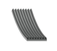 FEBI BILSTEIN 35508 Correa trapecial poli V