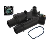 Febi bilstein 36037 Termostato, refrigerante