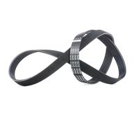 FEBI BILSTEIN 38424 Correa trapecial poli V