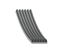 Febi-Bilstein 38450 Correa trapecial poli V