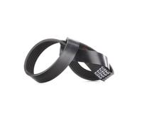 FEBI BILSTEIN 39802 Correa trapecial poli V