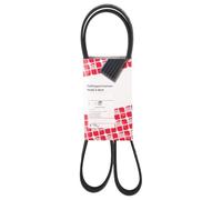 Febi bilstein 45239 Correas de Distribución