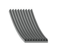 FEBI BILSTEIN 45835 Correa trapecial poli V