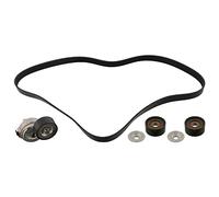 FEBI BILSTEIN 45969 Juego de correas trapeciales poli V