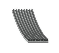 Febi bilstein 46530 - Correa de transmisión