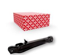 FEBI BILSTEIN 48022 Barra oscilante de suspensión de ruedas