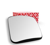 FEBI BILSTEIN 49901 Cristal de espejo, retrovisor exterior