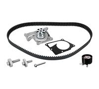 FEBI BILSTEIN 173163 Bomba de agua + kit de correa de distribución