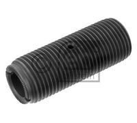 FEBI BILSTEIN Casquillo del cojinete, ballesta (Ref: 47601)