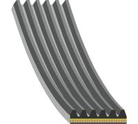 FEBI BILSTEIN 181284 Correa trapecial poli V