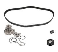 FEBI BILSTEIN Bomba de agua + kit correa distribución para VOLKSWAGEN: Golf, Polo, Passat, Golf Cabriolet, Caddy, Vento & SEAT: Cordoba (Ref: 172669)