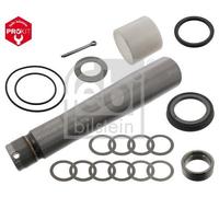 FEBI BILSTEIN Juego de reparación, pivote del muñón del eje (Ref: 04541)