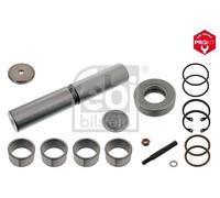 FEBI BILSTEIN Juego de reparación, pivote del muñón del eje (Ref: 08520)