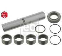 FEBI BILSTEIN 11480 Juego de reparación, pivote del muñón del eje