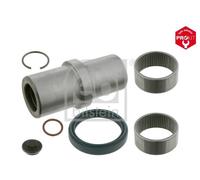 FEBI BILSTEIN Juego de reparación, pivote del muñón del eje (Ref: 26285)