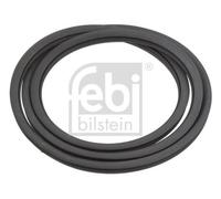 FEBI BILSTEIN Junta, parabrisas para VOLKSWAGEN: Coccinelle/Beetle (Ref: 02833)