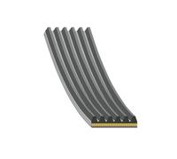 FEBI BILSTEIN Keilrippenriemen 184944