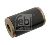 Casquillo, ojo de resorte FEBI BILSTEIN 29570