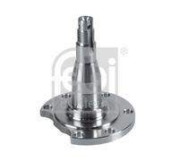 FEBI BILSTEIN Muñón de eje, cuerpo del eje para AUDI: A4, 100, Cabriolet, A6, Coupé, 80 & VOLKSWAGEN: Caddy & SEAT: Inca (Ref: 29656)