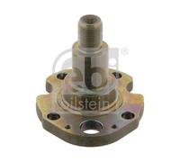 FEBI BILSTEIN Muñón de eje, cuerpo del eje para AUDI: TT, A3 & VOLKSWAGEN: New Beetle, Polo, Golf, Bora, Caddy & SKODA: Octavia, Roomster (Ref: 30276)
