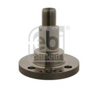 FEBI BILSTEIN Muñón de eje, cuerpo del eje para SKODA: Fabia, Citigo & VOLKSWAGEN: Polo, UP, Fox & SEAT: Mii, Ibiza, Cordoba & AUDI: A1 (Ref: 30501)