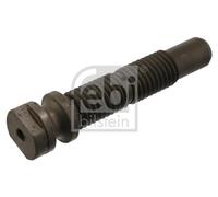 FEBI BILSTEIN Perno de ballesta (Ref: 06439)