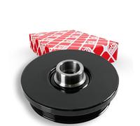 Febi bilstein Polea 174664 (desacoplada).