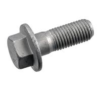FEBI BILSTEIN Schraube, Bremssattel 181220