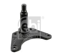 FEBI BILSTEIN Soporte de la ballesta (Ref: 14774)