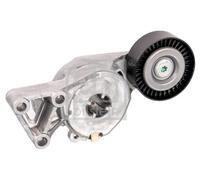 FEBI BILSTEIN Tensor de correa, correa poli V para VOLKSWAGEN: Sharan, New Beetle, Golf, Polo, Lupo, Transporter, Eos, Bora, Caddy (Ref: 14714)