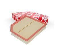 Filtro de aire FEBI BILSTEIN 106091