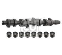 FEBI Kit de árbol de levas VW SEAT AUDI 1,9 2,0 038109101AH 038109101AHS1 BLS