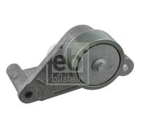FEBI Polea inversión/guía correa poli V MERCEDES-BENZ 6,4 6,9 A9062000970