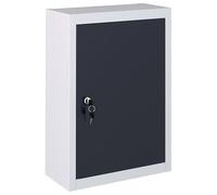 Fecpoo Armario de herramientas de pared con estante ajustable y placa perforada europea, metal, gris/negro, 40 x 19 x 60 cm, para taller y garaje
