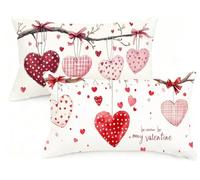 Federa Cuscino 30x50 cm Set di 2 Cuscino San Valentino Velluto Copricuscini Rettangolari Federe Cuscini Divano 30 x 50 Amore Stampa a Doppio Lato per Camera da Letto Soggiorno Decorazioni EM-105