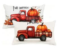 Federa Cuscino 50x70 cm Set di 2 Cuscino Autunno Velluto Copricuscini Rettangolari Federe Cuscini Divano 50 x 70 Zucca Stampa a Doppio Lato per Camera da Letto Soggiorno Decorazioni Autunnali EM-273