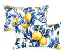 Federa Cuscino 50x80 cm Set di 2 Cuscino Primavera Velluto Copricuscini Rettangolari Federe Cuscini Divano 50 x 80 Limone Stampa a Doppio Lato per Camera da Letto Soggiorno Decorazioni EM-1383