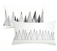 Federa Cuscino 60x80 cm Set di 2 Cuscino Grigio Velluto Copricuscini Rettangolari Federe Cuscini Divano 60 x 80 Astratto Stampa a Doppio Lato per Camera da Letto Soggiorno Decorazioni EM-1323