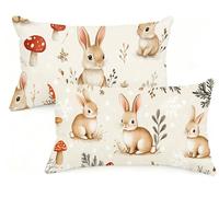 Federe Cuscino Letto 70x90 cm Set di 2 Cuscini Beige Federe Cuscini Divano 70 x 90 Pasqua Copricuscini in Velluto con Cerniera Invisibile Copricuscino per Divano Giardino Decorazioni Regali EM-400