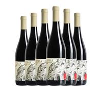 Federici Rosso Roma 75 cl Vino tinto (Caja de 6 Botellas de 75 cl)