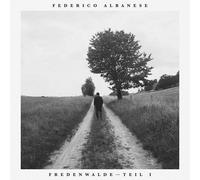 Federico Albanese - Before And Now Seems Infinite [Vinilo]