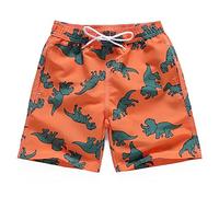 FedMois Shorts de Playa Bañador de Niños con Forro de Mesh (Pack de 1), Dinosaurio, 5-6 años