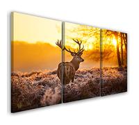 Feeby 3 partes Cuadros en Lienzo 120x60 cm Cierva Prado Ciervo Cornamenta Arte Moderno Decoración De Pared Sala De Estar Naturaleza Plantas Animal salvaje Puesta de sol Naranja
