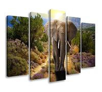 Feeby 5 partes Cuadro en Material Tejido no Tejido 150x100 cm Sabana África Elefante africano Arte decorativo Impresión Artística Dormitorio Plantas Sol Colmillos blancos Fauna silvestre Multi