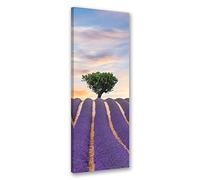 Feeby. Cuadro en lienzo - 1 Parte - 40x120 cm, Imagen impresión Pintura decoración Cuadros de una pieza, LAVANDA, ÁRBOL, NATURALEZA, VIOLETA