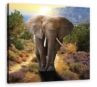 Feeby Cuadros en Lienzo Elefante África 60x60 cm Arte Moderno Exotismo Naturaleza Animal Beige