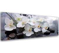 Feeby Cuadros en Lienzo Orquídea 100x40 cm 1 Pieza Modernos Impresión Artística Calidad Fotografica Imagen Decoración de Pared Salon Dormitorio Cocina Oficina Pasillo Canvas de una pieza Zen Blanco